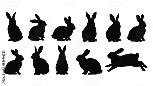 Collection of black rabbit silhouettes on white background vector