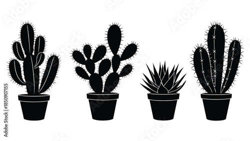 Four black silhouette cacti and succulent plants in pots on white background vector