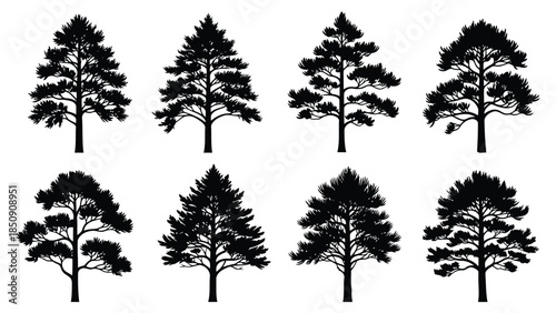 Collection of black tree silhouettes on white background vector