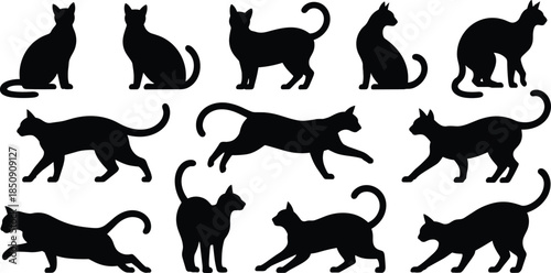 Black cat silhouettes set showing walking, jumping, sitting poses, elegant domestic feline shapes isolated on white background for design use