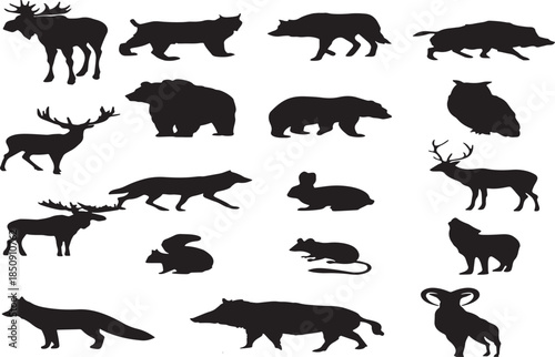 Detailed vector image file metadata from adobe illustrator application