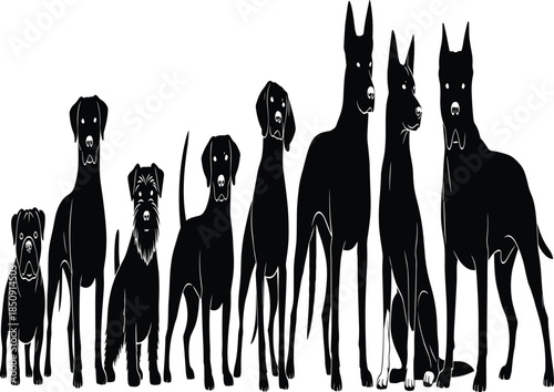 Dog breed silhouettes lineup showing various sizes and shapes, canine diversity comparison, pet profile collection, animal identification illustration concept