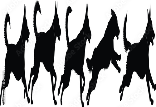 Jumping cat silhouettes in dynamic motion sequence, playful feline behavior, energetic poses, animal movement study, minimalist illustration design
