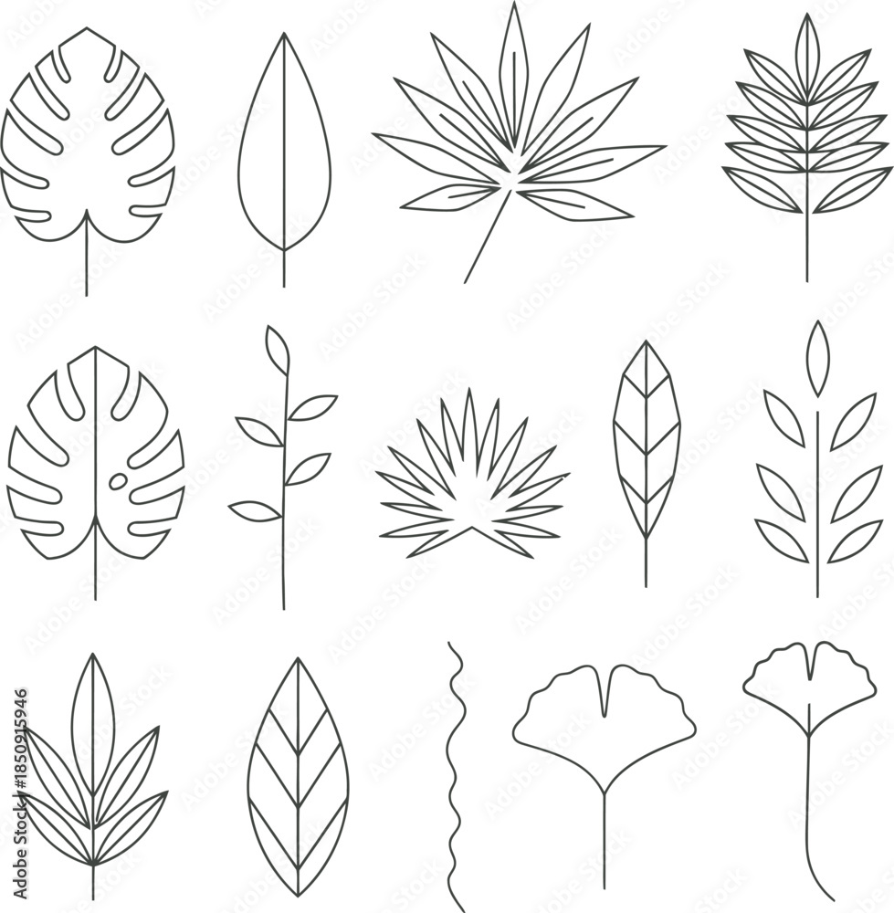 Fototapeta premium A collection of 12 unique leaf illustrations isolated on transparent background