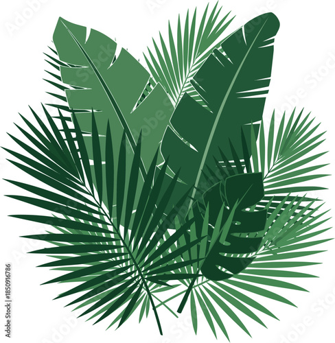 Isolated a leaf plant green cannabis, leaves, fern, marijuana, nature, tree, isolated,  vector art with white background.