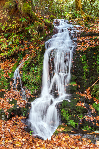 Beautiful cascading waterfall in the Smoky Mountains