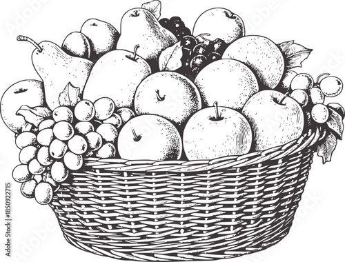 Black and white line of a basket filled with apples pears and grapes