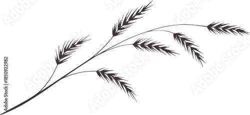 Minimalist black and white line of wheat stalks white
