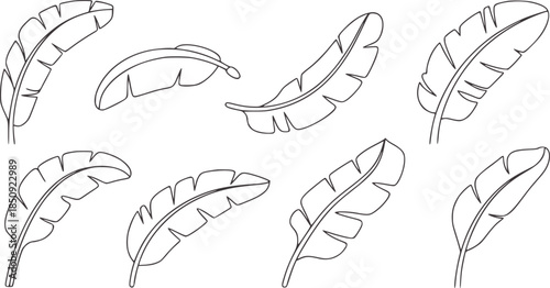 Seven tropical banana leaves in minimalist black line outline style