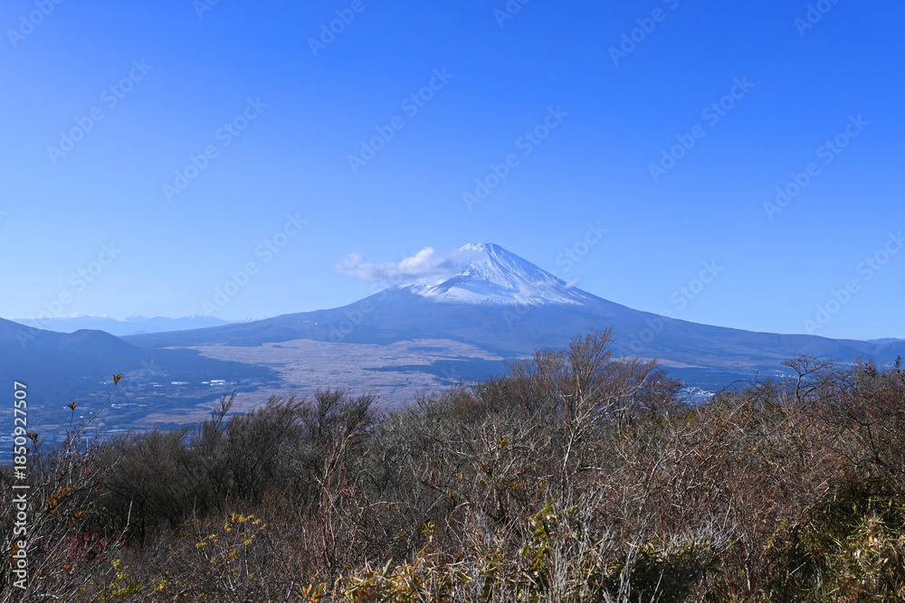 Fototapeta premium 芦ノ湖スカイライン 杓子峠から望む富士山