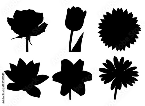 Illustrative vector art set of various flower silhouettes, perfect for elegant botanical themed designs