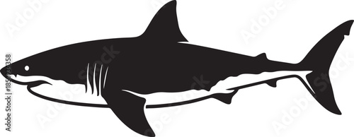 black silhouette of shark on white background, vector