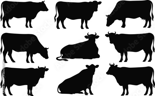 Cow and bull silhouette poses set featuring livestock cattle farm animals agriculture rural illustration collection