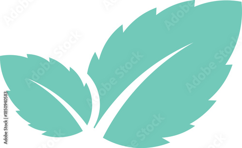 Two stylized teal mint leaves with white veins on a white background green
