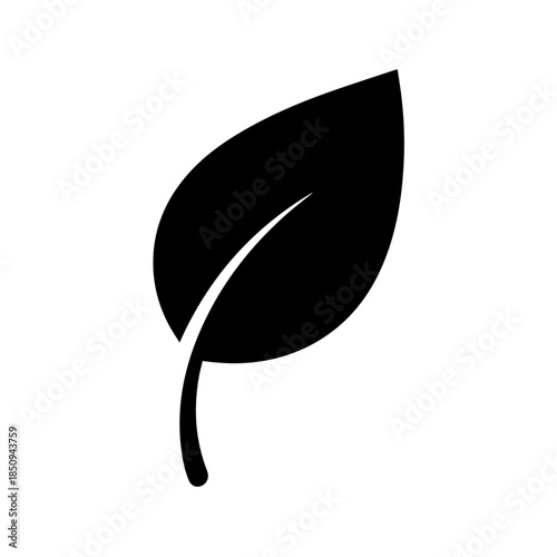 Single black leaf