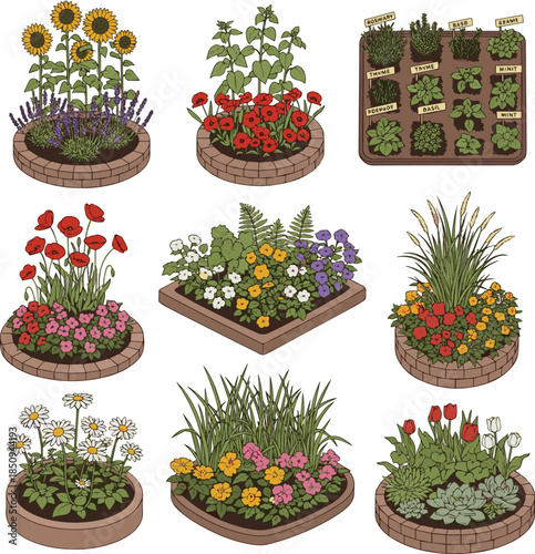 Create a kinds of deferent Flowerbed with different plants and herbs and flowers in sunlight, vector art with white background..