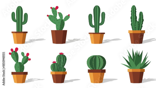 Illustration of various potted cacti and succulents, perfect for desert themes and botanical designs