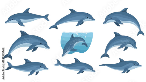 Delightful dolphin illustration showcasing a variety of graceful marine mammal poses and expressions
