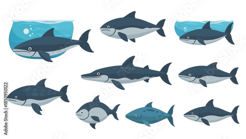 Cartoon Sharks Vector Illustration with Different Types and Swimming Styles on White Background