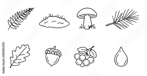 Nature icons: fern, moss, mushroom, palm, oak, acorn, berries, water drop