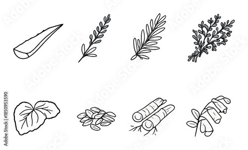Herbal remedies: aloe, willow, ephedra, gotu kola, seeds, licorice, eucalyptus