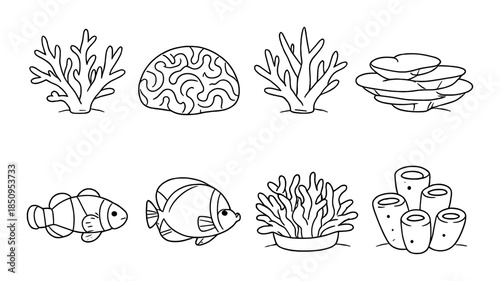Black and white marine life illustrations featuring coral and tropical fish designs