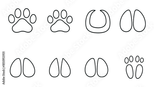 Variety of animal paw and hoof prints on dark background