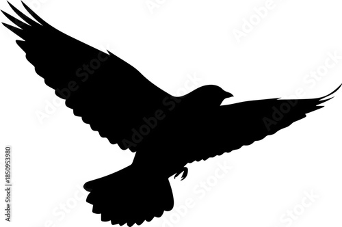 Majestic crow soaring with wings spread wide against a clear sky, embodying freedom and wild spirit in a powerful silhouette.