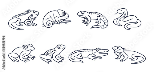 Stylized reptiles and amphibians on gray background