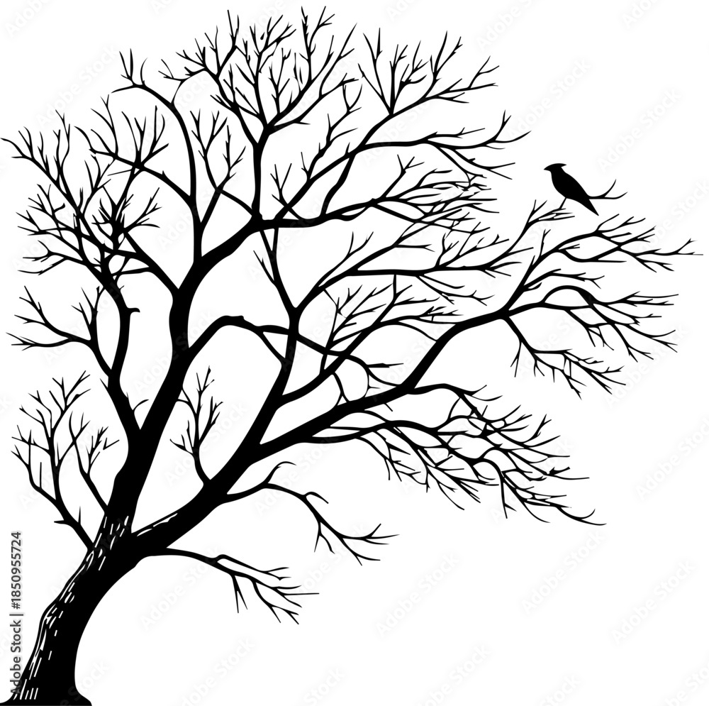 Fototapeta premium Silhouette of Leafless Tree with Bird – Black and White Nature Illustration
