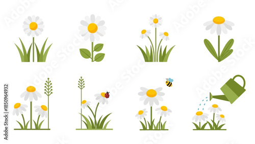 Charming Daisy Flower Illustrations with Bumblebee Ladybug and Watering Can in Simple Flat Design