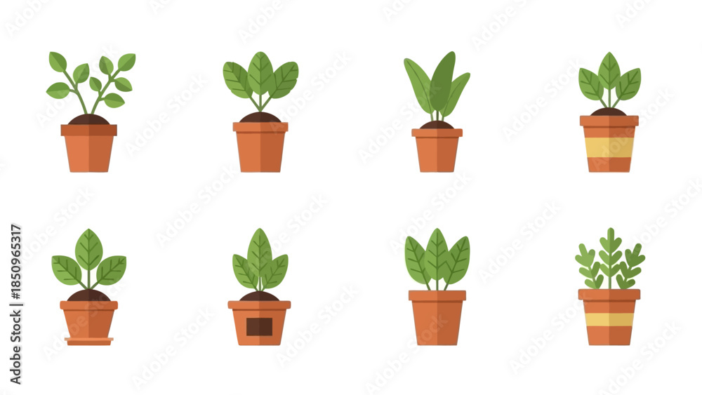 Fototapeta premium Collection of Small Potted Plants with Green Leaves in Brown Terra Cotta Pots