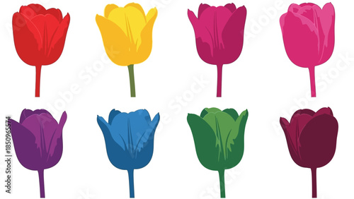 Elegant floral arrangement showcasing eight vibrant tulip flowers in various colors