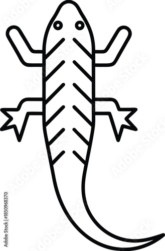 Lizard Minimal Drawing