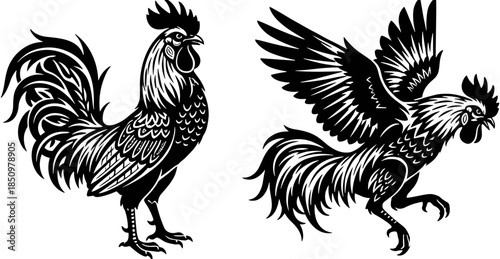 Set of two rooster illustrations in vintage woodcut style, black and white farm bird line art for poultry mascot design,