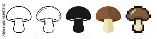 Set of five mushroom icons showing a progression of artistic styles including simple outline, silhouette, flat color vector, and a classic 8-bit pixel art version