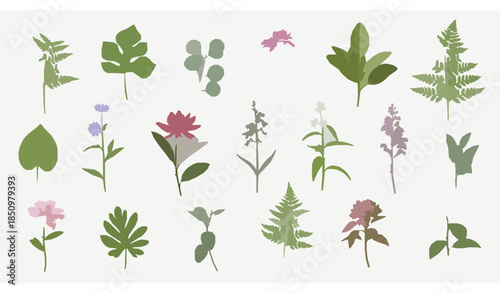 Realistic 3D botanical plant illustrations isolated on white background for nature design