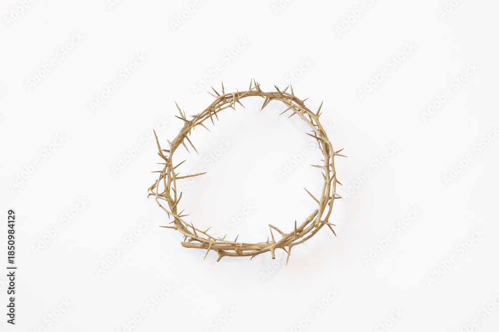 Fototapeta premium Crown of Thorns isolated on a white background