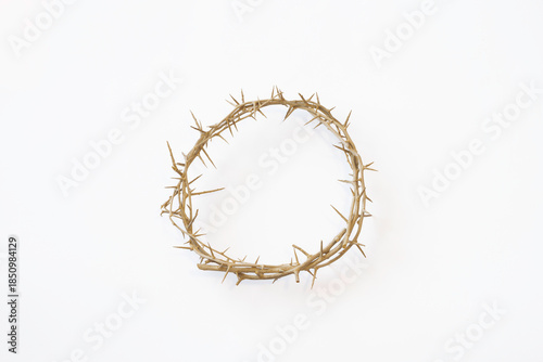 Crown of Thorns isolated on a white background