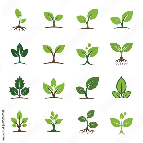 Tableau sur toile Collection of Green Plant Sprouts and Seedlings for Growth Concepts