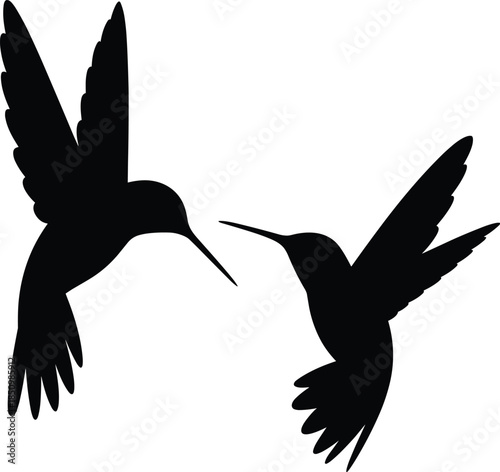 Black silhouette hummingbird set flying bird vector illustration colibri animal wing nature graphic element isolated on white background