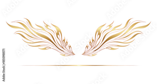 vector illustration of a feather