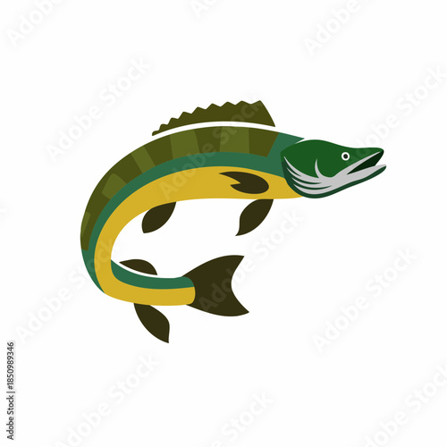 Illustration of a pike fish leaping, depicting wildlife animal in naturalistic style. For wildlife themes.