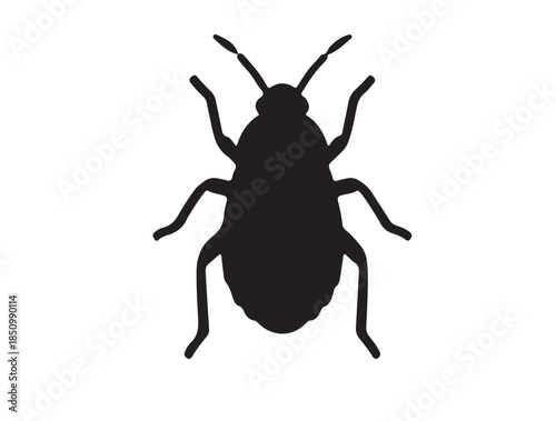 Aphid in silhouette white background.