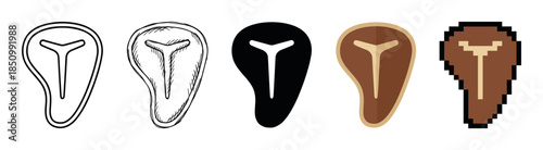 T-bone steak icon set in various artistic styles showing a collection of meat illustrations in line art, sketch, silhouette, flat design, and pixel art