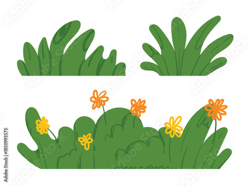 Doodle grass bush, shrubs during flowering