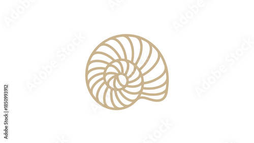 Elegant Nautilus Shell Spiral Design.