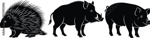 Black silhouette collection of a prickly porcupine wild forest boar and a domestic farm pig isolated on a white background
