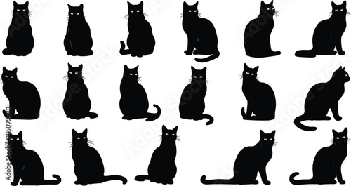 Large collection of black cat silhouettes in various sitting and standing poses isolated on white background for domestic pet design