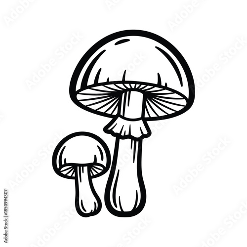 Black and white illustration of mushrooms